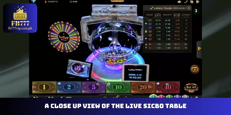 A close up view of the live Sicbo table