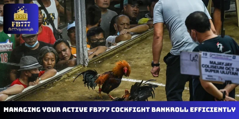 Managing your active FB777 Cockfight bankroll efficiently