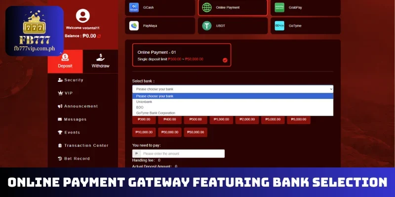 Online payment gateway featuring bank selection and funding amounts